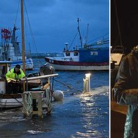 Till vänster: hamnen i Skåre utanför Trelleborg på fredagskvällen. Till höger: SVT:s reporter Gunilla Fritze rapporterar från Skanör.