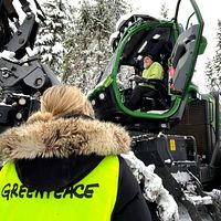kvinna med reflexväst skogsskördare i skog
