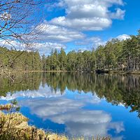 Norra Kvills nationalpark, Småland den 25/4.