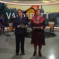 SVT Sápmis valdebatt