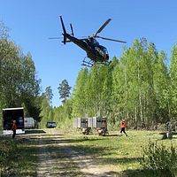 Kvinna i grönområde och en helikopter som lyfter