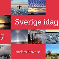 Väderbildstävling i Sverige idag