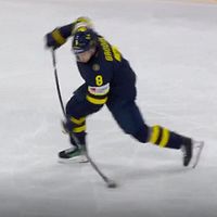 Mika Zibanejad och Jonas Brodin