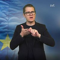 Programledaren Magnus Bergevin tecknar ”journalist” framför en EU-flagga