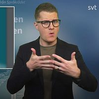 Bild på handbok
