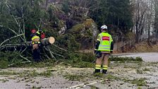 Räddningstjänst på plats och sågar ett träd som fallit över vägen.