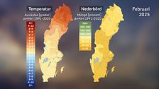Kort om februarivädret 2025 med SVT:s meteorolog Per Stenborg.