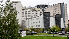 Björkar i förgrunden, ett stort sjukhus med olika byggnader i bakgrunden.