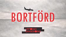 Flygplan i luften på en grå himmel