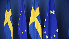 EU-flaggor jämte svenska flaggor. Den 9 juni är det EU-val i Sverige.