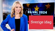 Sverige i dags programledare Julia Hedlund