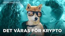 En hund med solglasögon med bitcoin-symboler på får en puss på varje kind.