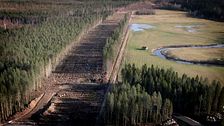 Flygbild över ett skogsområde där en bred väg röjts upp.