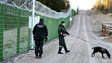 Gränsvakter patrullerar en stig vid ett taggtrådsstängsel, med en hund i koppel.