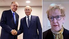 Erdogan och Putin skakar hand, och Stefanie Babst.