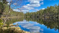 Norra Kvills nationalpark, Småland den 25/4.