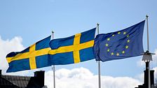 Två svenska flaggor och en EU-flagg. Valet till Europaparlamentet äger rum den 9 juni 2024.