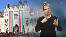 Programledare Alicia tecknar ”rösta” vid en bild på Ungerns parlamentsbyggnad