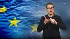 Programledaren Magnus Bergevin tecknar ”journalist” framför en EU-flagga