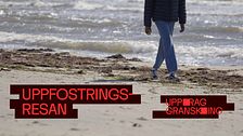 Pojke går på stranden. Bild för Uppdrag gransknings program Uppfostringsresan.