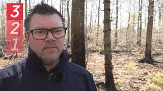 Tre tips från brandmästaren på hur du förebygger brandrisken i skog och mark