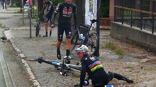 Hund orsakade krasch i Giro d'Italia