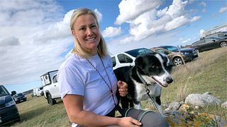 SM i fårvallning avgörs på Gotland – ”Svårt men roligt”
