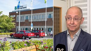 Sjukvårdsdirektören om tuffa läget: ”Känns som en näst intill omöjlig uppgift”