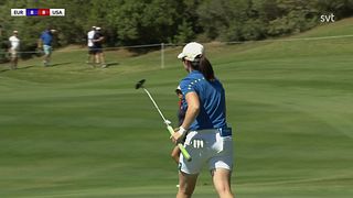 Snygg, lång eagleputt av Maguire
