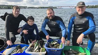 Här dyker de ner till botten för att rensa skräp