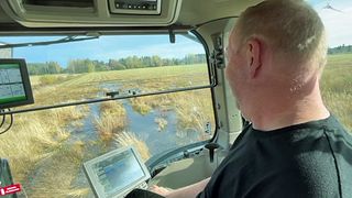 Regnig höst hotar skörden i Västerbotten – bonden: ”Mycket utmanande”