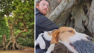 Här är Skånes knasigaste träd – och hund
