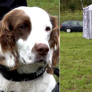 Molly är världens enda dopinghund – på plats vid VM i militär 5-kamp i Halmstad