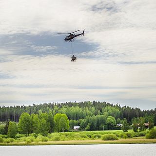 Mest omfattande myggbekämpningen längs nedre Dalälven på 20 år