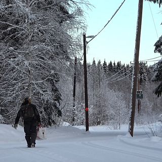 Den utrotningshotade vitryggiga hackspetten har etablerat sig i norra Sverige. I klippet får du följa med när SVT åkte ut till Skolskogen utanför Boden för att spana efter vitryggen tillsammans med Berth-Ove Lindström på Norrbottens Ornitologiska Förening.