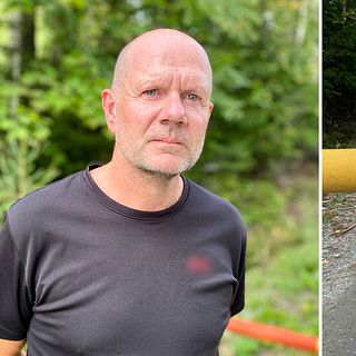Jägaren Pelle tog prov från smittade vildsvinet i Fagersta – pestsvaret kom som en chock