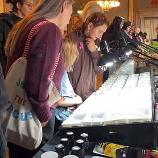 Ser du skillnaden på en snäcka och en snigel? – Följ med på terrariemässan i Sundsvall