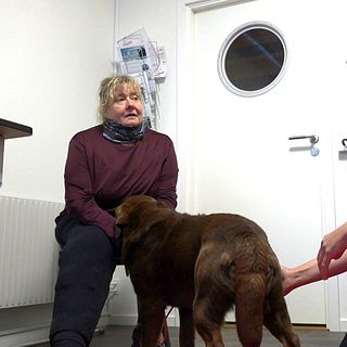 Så lyckades labradoren Peggy gå ned tio kilo på ett halvår
