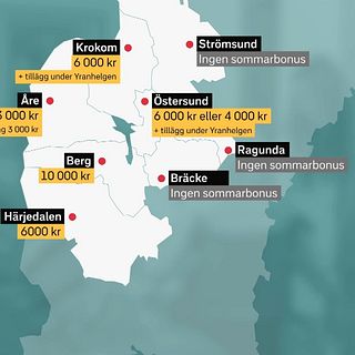 Bergs kommun sommarbonusligan