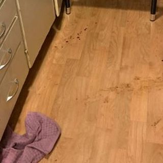 Hör kvinnans rop efter hjälp i larmsamtalet innan mordet i Vingåker: ”Kommer bli dödad om jag återvänder hem”