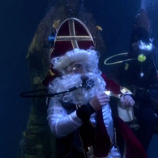 Tomten matar hajar med julgodis