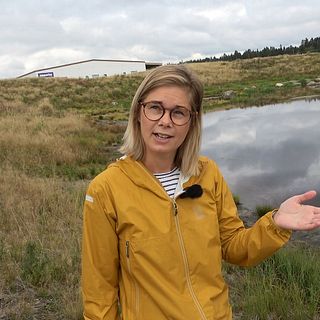 Så minskar Umeå översvämningsrisken: ”Väldigt stora kostnader”