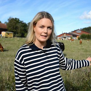 Nu kommer slaktaren hem till gården – Järna först ut