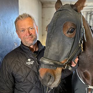 Banveterinären på Umåker om spödrivning i trav: ”Ska inte bli märken på hästarna”