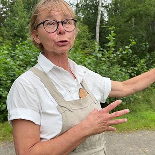 Naturskyddsföreningen protesterar mot Strängnäs stifts avverkningsplaner i Hällefors