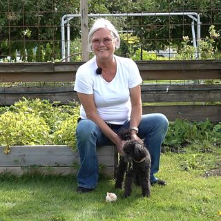 Lena och hunden Stickan jagar ägg från mördarsniglar: ”Han är ett geni”