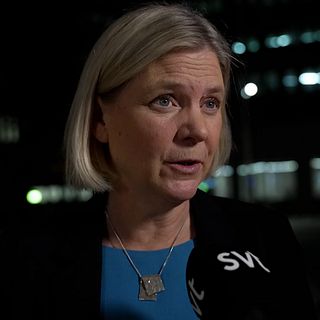 Andersson (S) om partilotterna