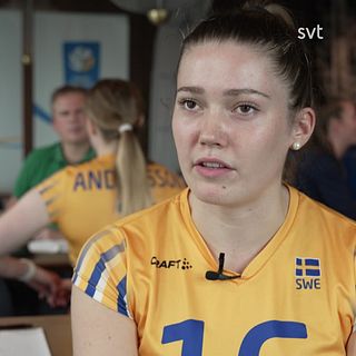 Vad gör andra nationer bättre än Sverige?
