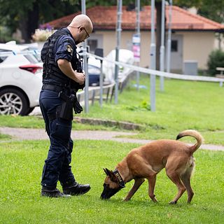 Hur kommer det sig att ni låtit kriminella gå så långt?