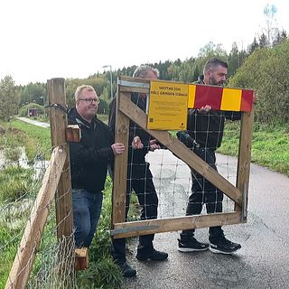 Faran är över – här tas första grinden till svinpestdrabbade området bort